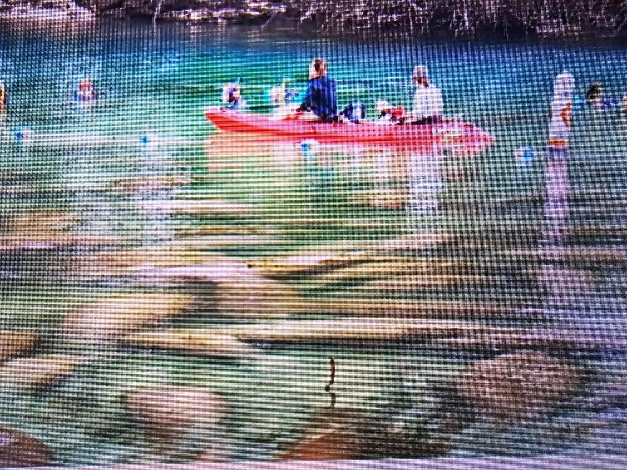 דירות קריסטל ריבר Manatee Watch Den מראה חיצוני תמונה
